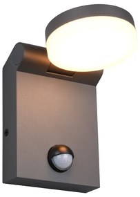 Lampa zewnętrzna z czujnikiem ruchu (wysokość 19 cm) Adour – Trio