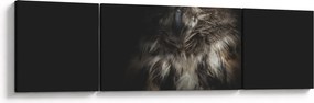 Obraz sowy (170x50 cm)