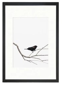 Obraz 24x29 cm Bird on the Branch – Vavien Artwork