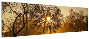 Obraz - Wschód słońca (170x50 cm)