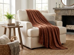 Mikropluszowy koc SOFT, brązowy Rozmiar: 200 x 220 cm