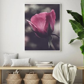 Plakat - Kwiat róży (A4)