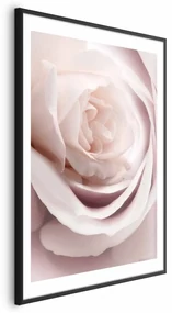 Plakat Porcelanowa róża 21x30 cm z ramą czarną z marginesem ARTGEIST B