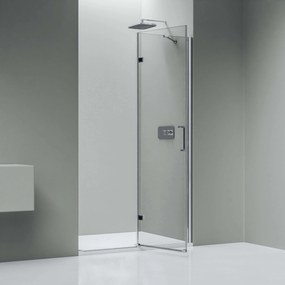 Drzwi prysznicowe uchylne na panelu stałym NT403