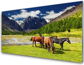 Szkło Dekoracyjne do Kuchni Konie na Górskim Pastwisku