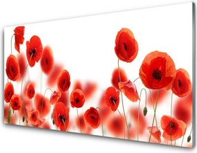 Szkło Dekoracyjne do Kuchni Pole Czerwonych Maków