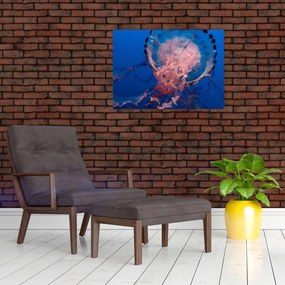Obraz meduzy (70x50 cm)