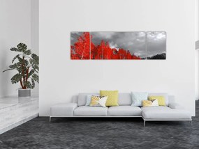 Obraz - Drzewa w kolorze jesieni (170x50 cm)