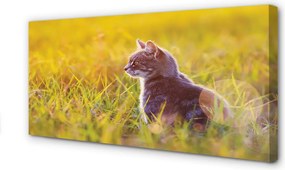 Fotoobraz na płótnie Kot w Trakcie Polowania