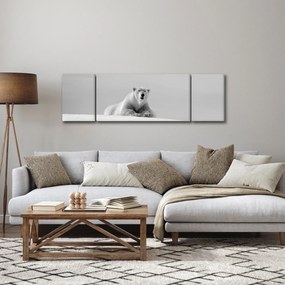Obraz - Niedźwiedź polarny (170x50 cm)