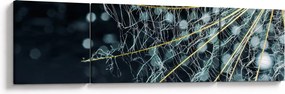 Obraz - Kwiat z pajęczyną (170x50 cm)