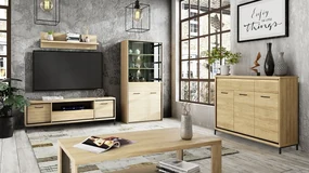 Meble do salonu Sarged III