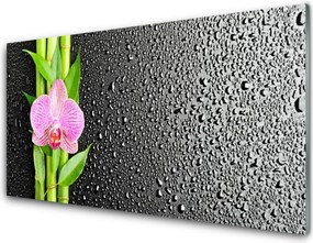 Panel Kuchenny Pędy Bambusa W Rozkwicie