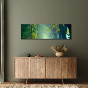 Obraz drogi wysadzanej drzewami (170x50 cm)