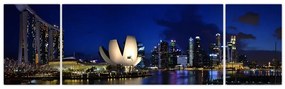 Obraz Singapuru nocą (170x50 cm)