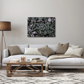 Obraz na szkle - Zamrożone rośliny (70x50 cm)