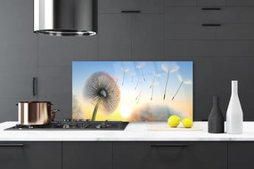 Panel Szklany Puszyste Parasolki Dmuchawca