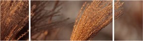 Obraz - Kortaderia (170x50 cm)