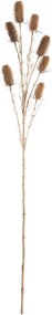 Oset Ozdobny 110cm beige