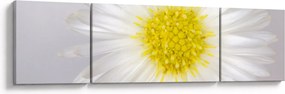 Obraz - Margarita (170x50 cm)