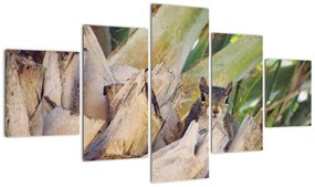 Obraz wiewiórki na drzewie (125x70 cm)