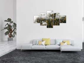 Obraz lasu w chmurach (125x70 cm)