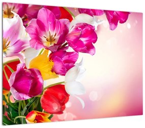 Obraz tulipanów (70x50 cm)