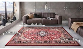 Czerwony dywan Nouristan Skazar Isfahan, 160x230 cm