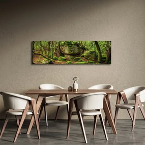 Obraz magicznego lasu (170x50 cm)
