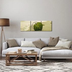 Obraz liścia w piasku (z zegarem) (90x30 cm)
