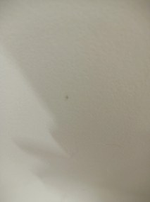 Promocja Krzesło do jadalni OSAKA z plastiku, beżowe II. klasa jakości