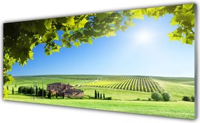 Panel Szklany Jesienne Pole pełne Liści