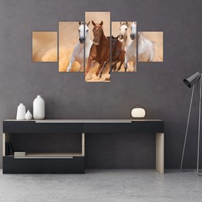 Obraz - Stado koni (125x70 cm)