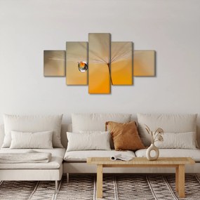Obraz - Makro kwiat (125x70 cm)