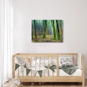 Obraz na szkle - las (70x50 cm)