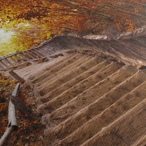 Obraz - Schody w naturze jesienią (170x50 cm)