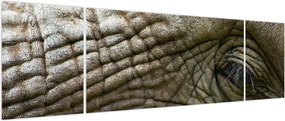 Obraz - Zbliżenie na stare oko słonia (170x50 cm)
