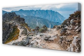 Obraz drukowany na płótnie Góry