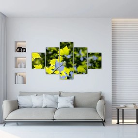 Obraz - liście klonu (125x70 cm)