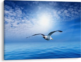 Obraz - Mewa nad morzem (70x50 cm)