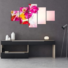 Obraz tulipanów (125x70 cm)