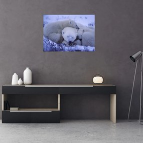 Obraz - Niedźwiadki polarne (70x50 cm)