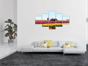 Obraz farmy tulipanów (125x70 cm)