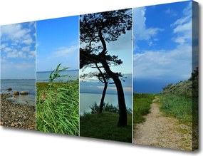 Obraz na płótnie Samotne Drzewo na Plaży