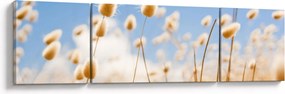 Obraz - Złote pole (170x50 cm)