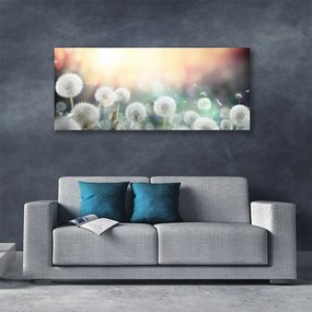 Obraz canvas Lekkość Polnych Dmuchawców