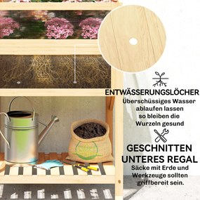 Outsunny Podwyższona grządka z nasadką szklarniową z drewna Skrzynka do sadzenia ze szklarnią składana boczna półka dolna półka Drewno naturalne | Aosom PL