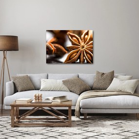 Obraz - Anyż (70x50 cm)