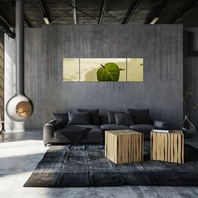 Obraz liścia w piasku (170x50 cm)
