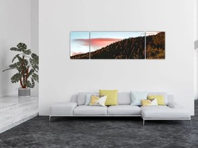 Obraz rudzików nad wzgórzem (170x50 cm)